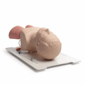 Laerdal Airway Management Trainer (AMT)